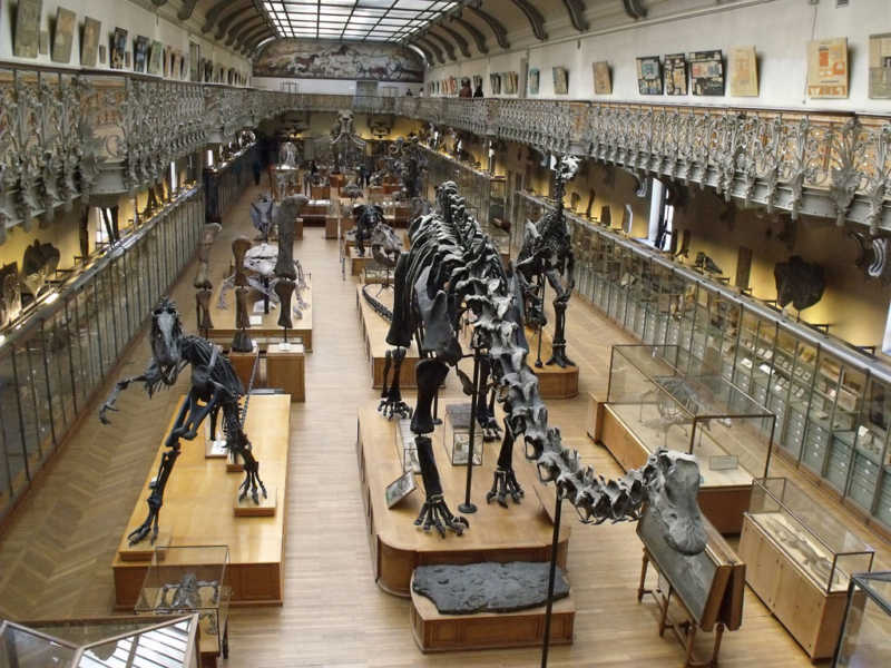 The is the interior of the museum d'histoire naturelle at Paris.