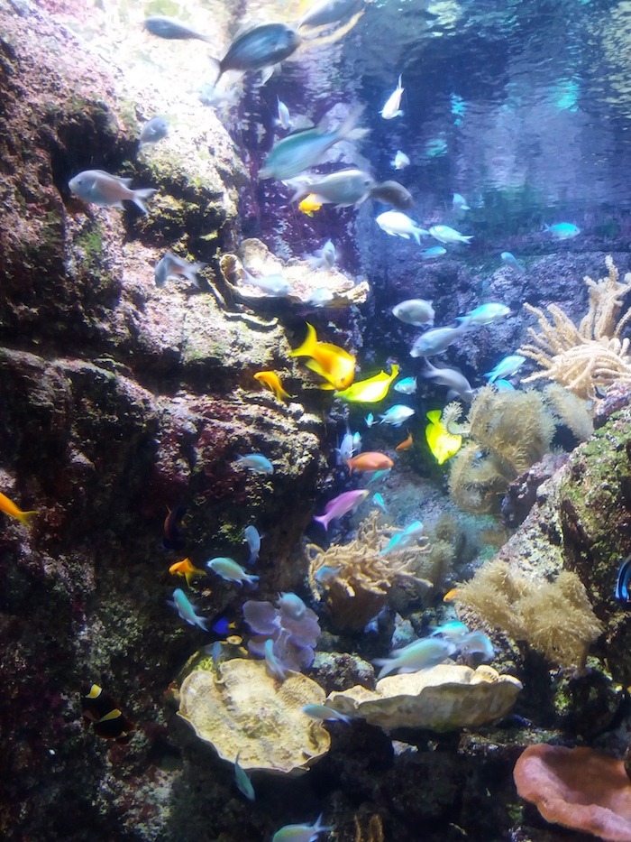 The Aquarium de Paris is an indoor attraction in Paris.