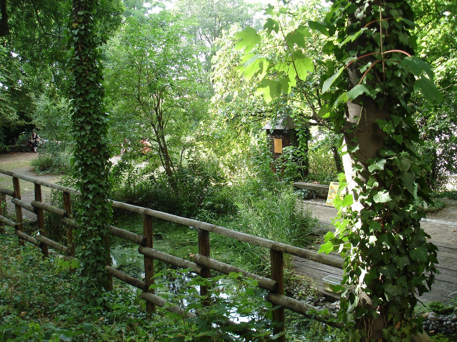 Résultat de recherche d'images pour "le jardin sauvage saint-vincent montmartre"